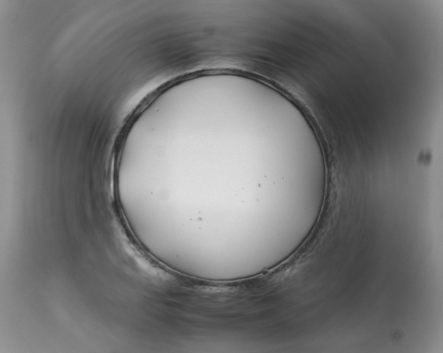 X0000114011127200910231809