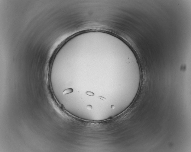 X0000114011128200910231809