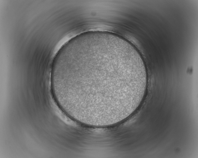 X0000114011130200910231809