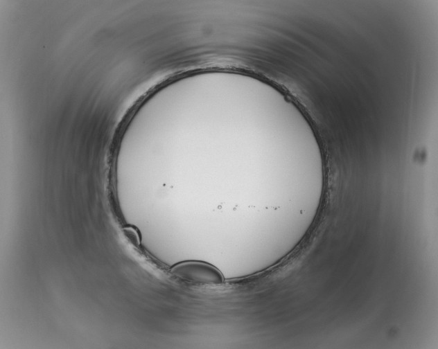 X0000114011134200910231809