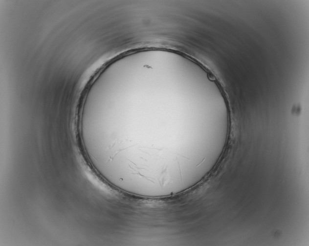 X0000114011136200910231809