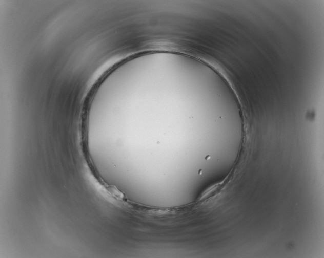 X0000114011147200910231809