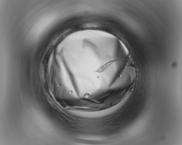 X0000114011151200910231809