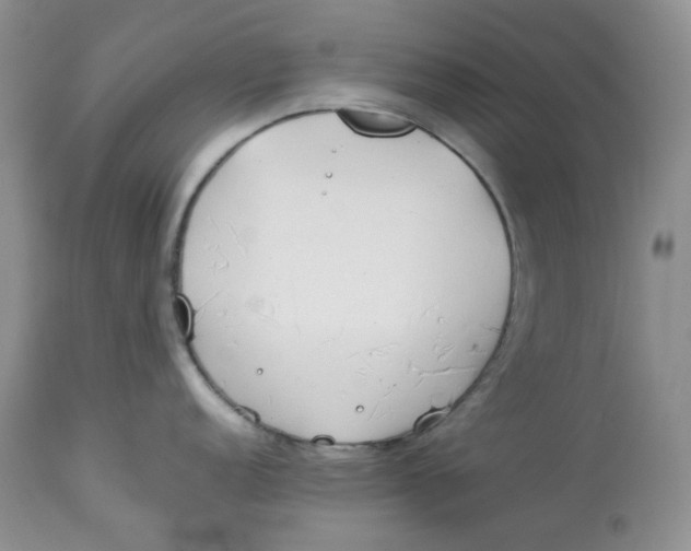 X0000114011152200910231809