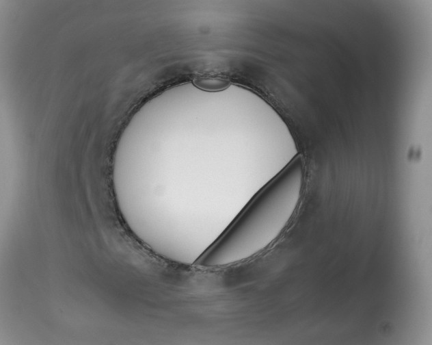 X0000114011153200910231808