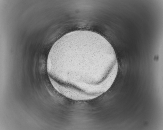 X0000114011154200910231808