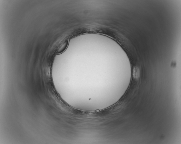 X0000114011155200910231808