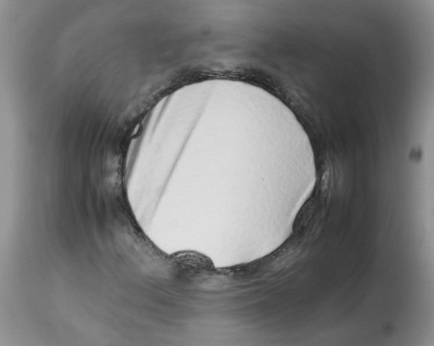 X0000114011156200910231808