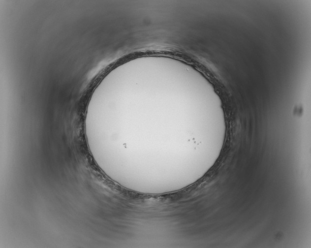 X0000114011160200910231808