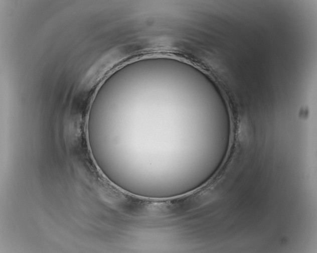 X0000114011161200910231808