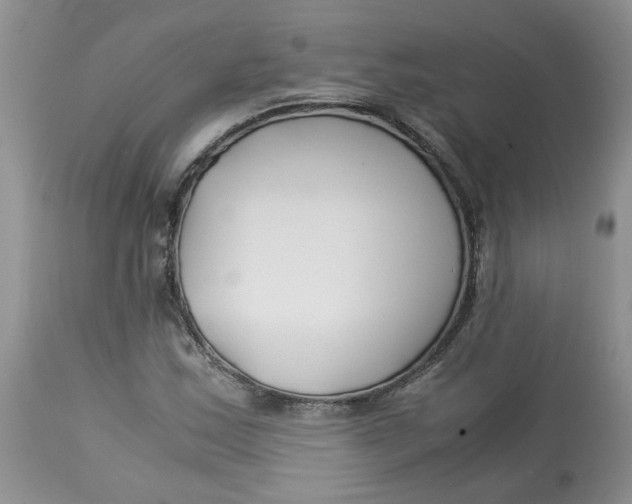 X0000114011163200910231808