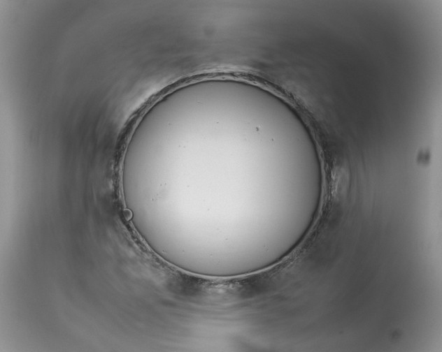 X0000114011165200910231808