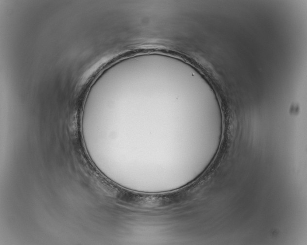 X0000114011167200910231808