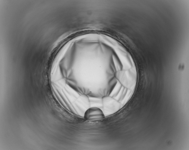 X0000114011168200910231808