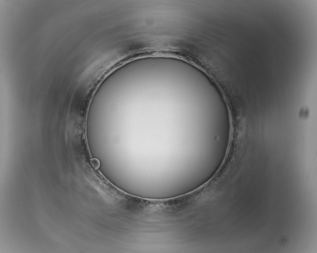 X0000114011169200910231808