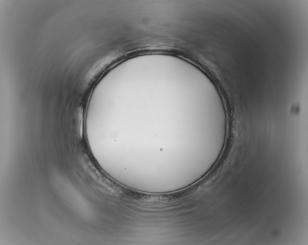 X0000114011171200910231808