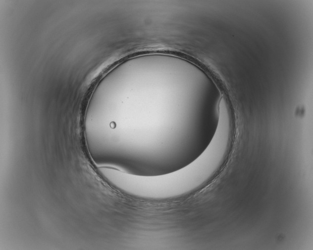 X0000114011173200910231808