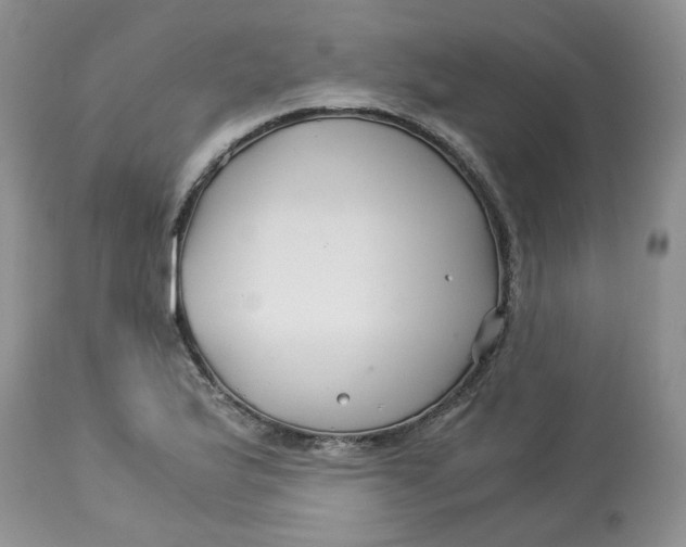 X0000114011175200910231808