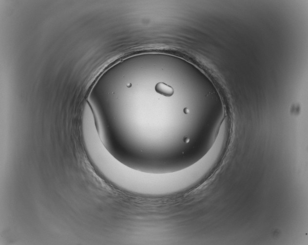 X0000114011177200910231808