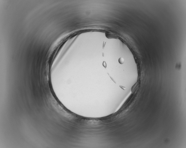 X0000114011180200910231808