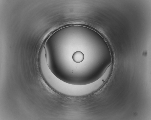 X0000114011181200910231808