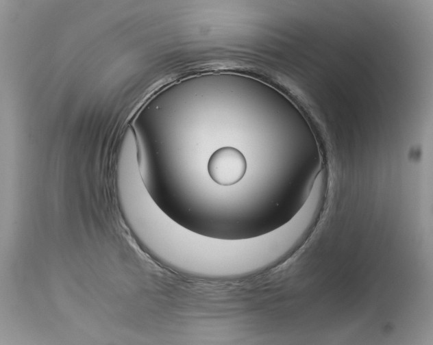 X0000114011185200910231808