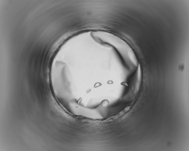 X0000114011188200910231808