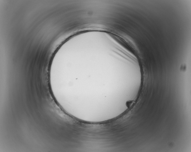 X0000114011192200910231808