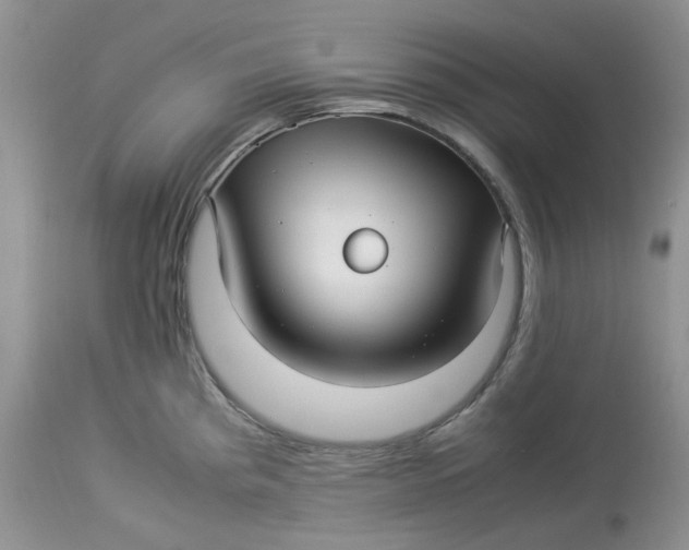 X0000114011193200910231808