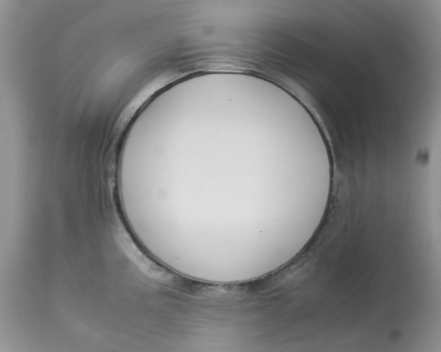 X0000114011195200910231808