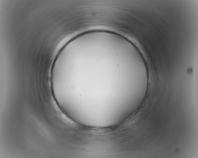 X0000114011199200910231808