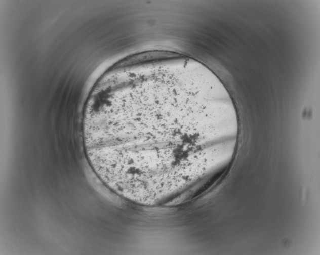 X0000114011200200910231808