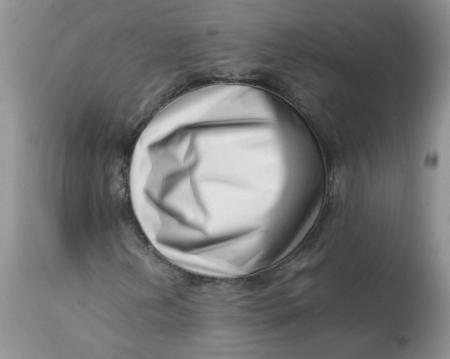 X0000114011202200910231807