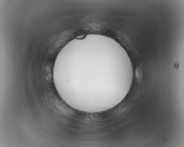 X0000114011203200910231807