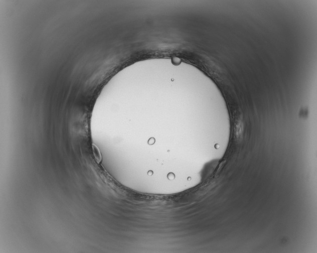 X0000114011204200910231807