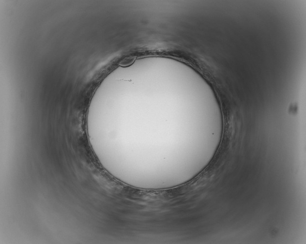 X0000114011205200910231807