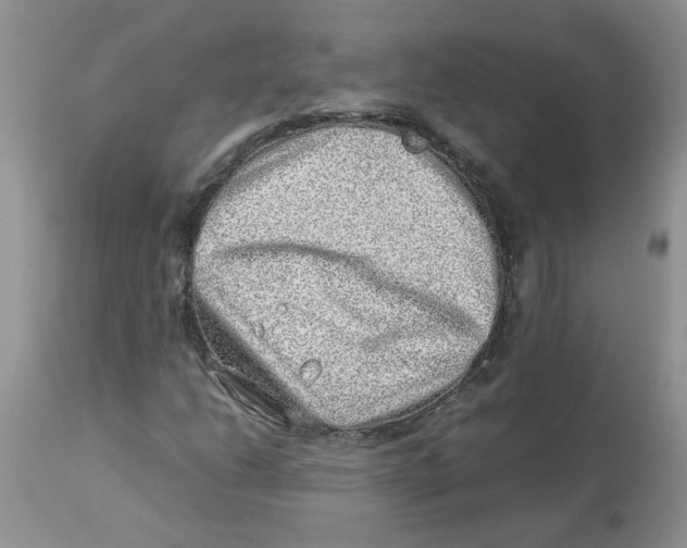 X0000114011206200910231807