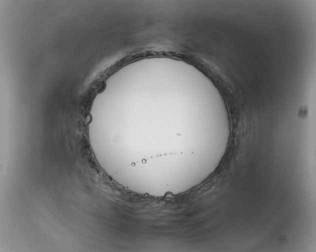 X0000114011207200910231807