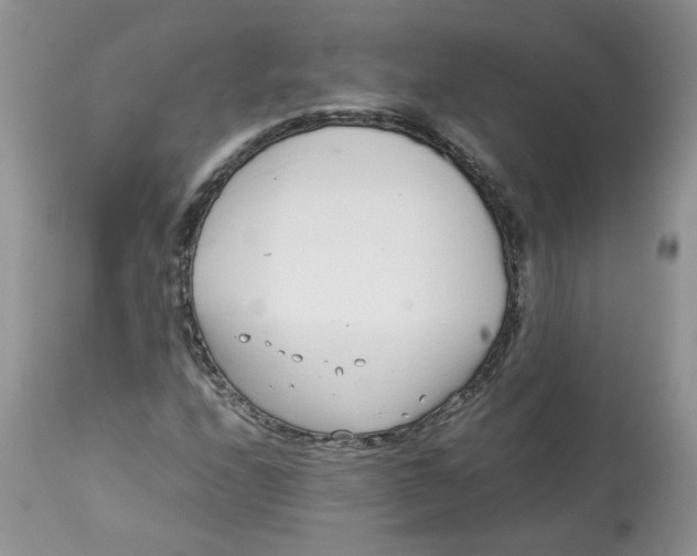 X0000114011208200910231807