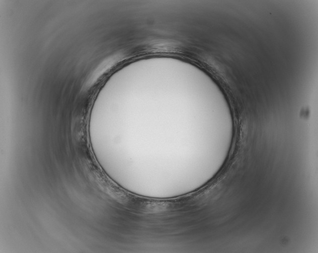 X0000114011211200910231807