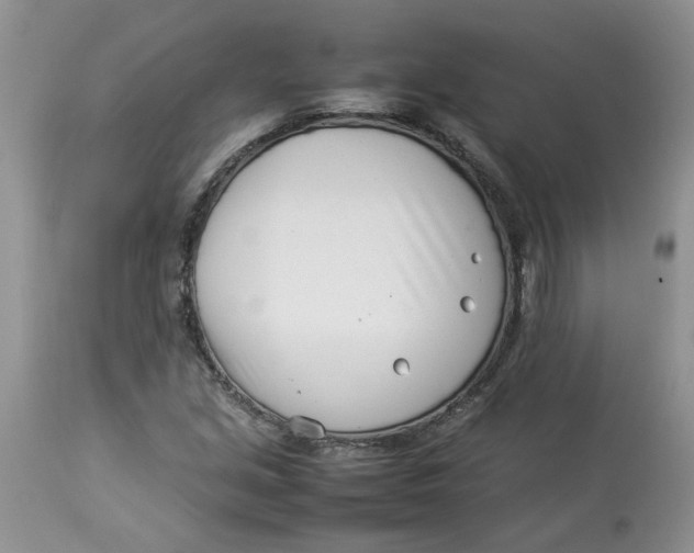 X0000114011213200910231807