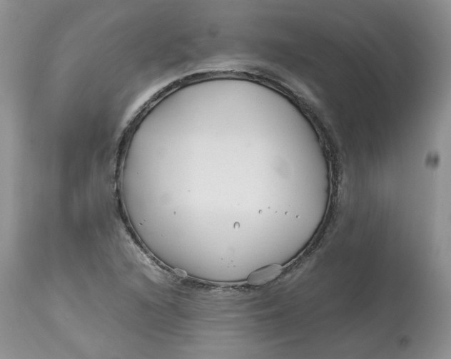 X0000114011216200910231807