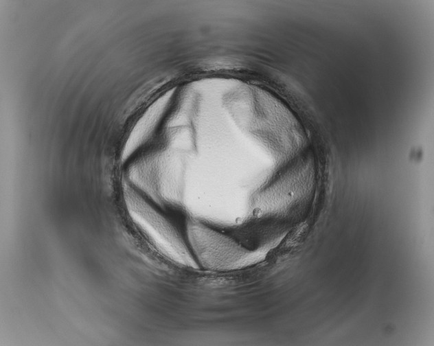 X0000114011217200910231807