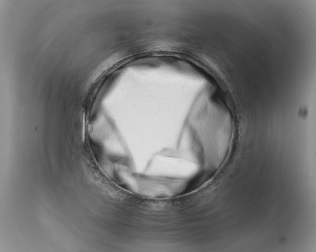 X0000114011219200910231807