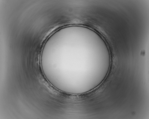 X0000114011220200910231807