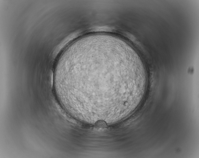 X0000114011221200910231807