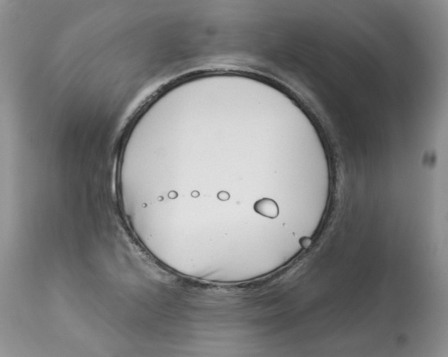 X0000114011224200910231807