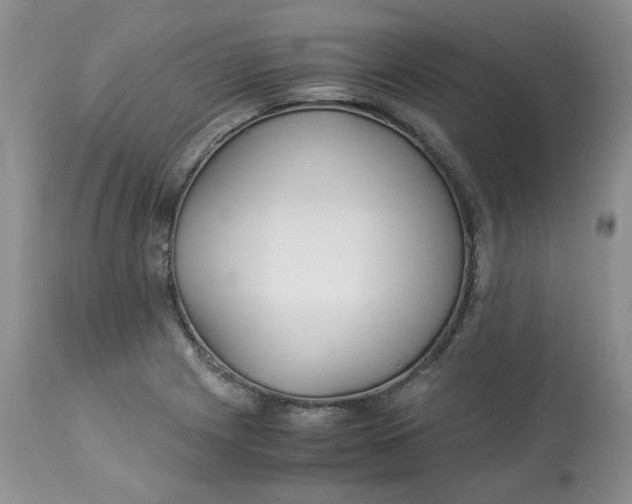 X0000114011225200910231807