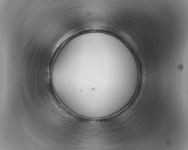 X0000114011226200910231807