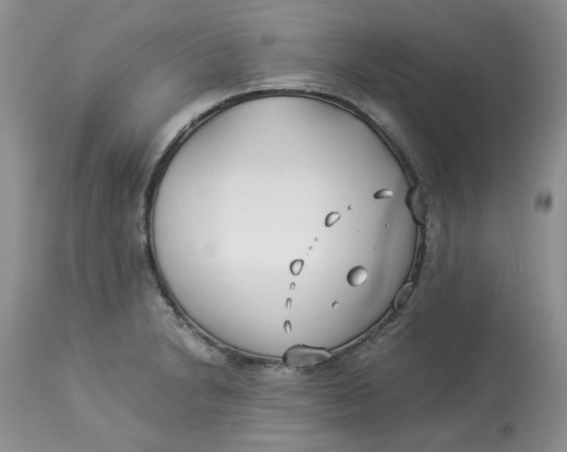 X0000114011230200910231807